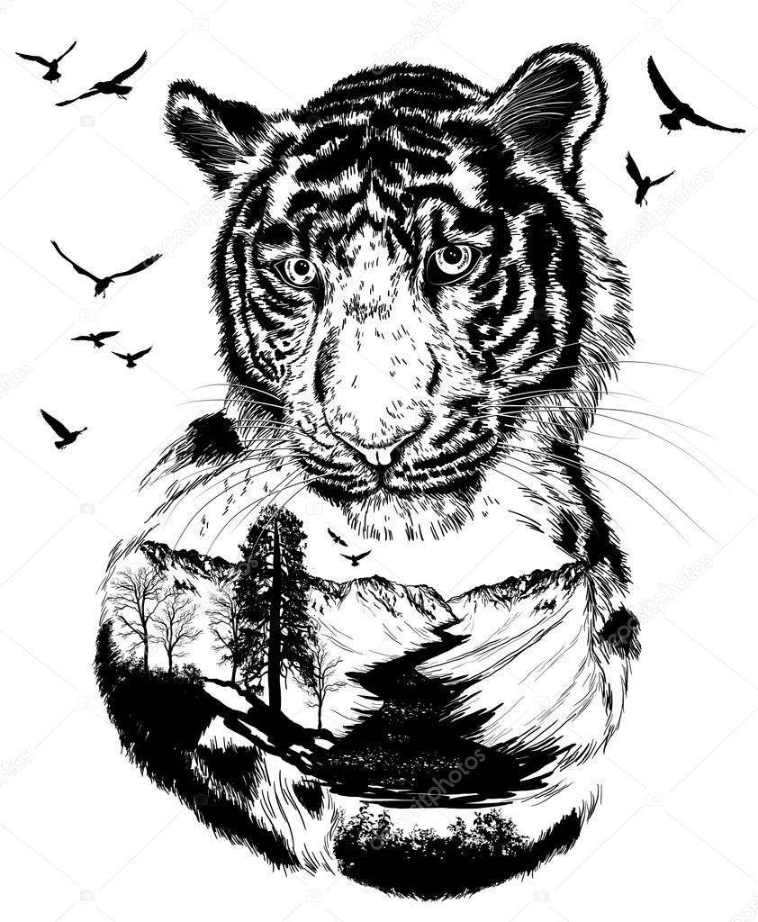 Double exposure, Hand drawn Tiger 