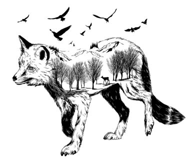 Vektör çift pozlama, fox silüeti