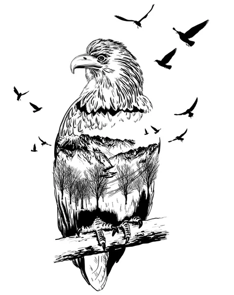 Vector Exposição dupla, águia, conceito de vida selvagem —  Vetores de Stock