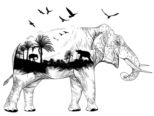 Vector dubbele blootstelling, olifant en jungles, wildlife concept — Stockvector