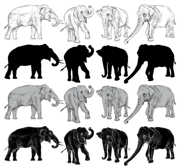 Набор слонов на белом фоне — стоковый вектор