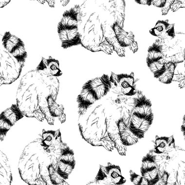 Vahşi Ring-tailed lemur ile Seamless Modeli