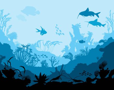 Okyanus sualtı dünyasını hayvanlarla