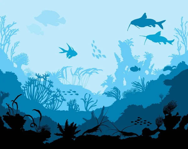 Okyanus sualtı dünyasını hayvanlarla