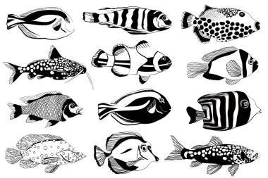 Akvaryum balık kümesi. Siyah ve beyaz tasarım