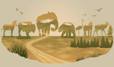 Vektör çift pozlama, vahşi hayvanlar