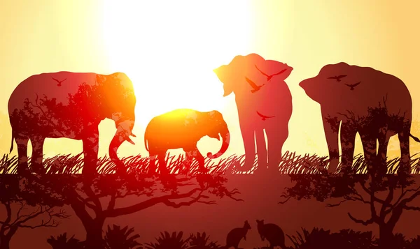 Double exposure, animals Elephants and kangaroos — Stock Vector
