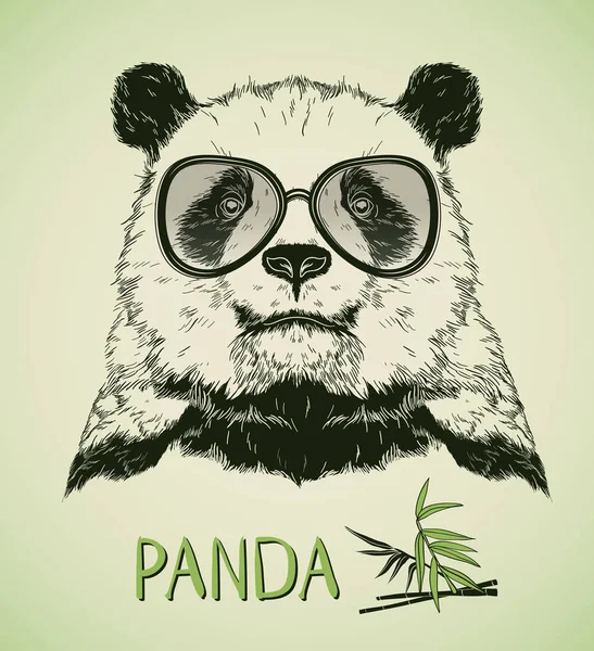 Portrait of Panda Bear with glasses — Stock Vector