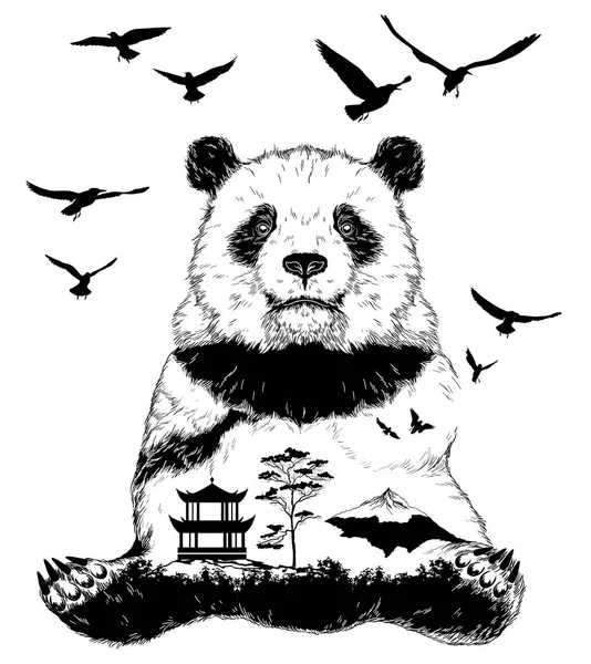 เวกเตอร์ การเปิดเผยสองครั้ง หมีแพนด้า — ภาพเวกเตอร์สต็อก