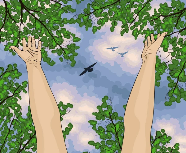 Menselijke armen open voor bomen en blauwe hemel — Stockvector