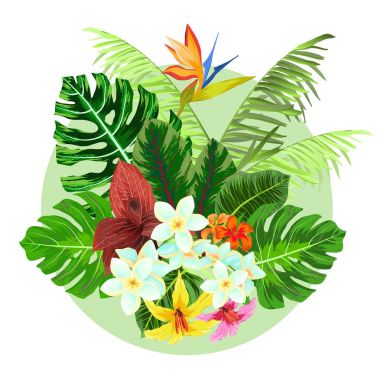 Renkli tropikal bitki tasarım