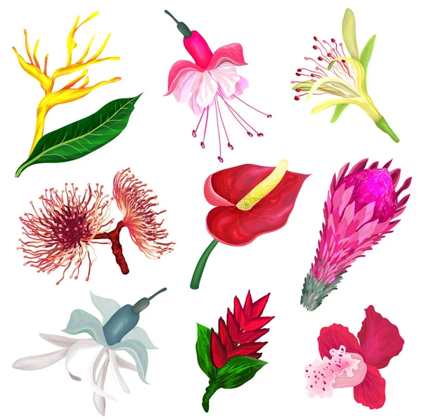 Gerçekçi tarzda tropikal çiçek kümesi