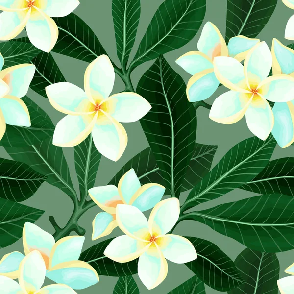 Seamless pattern with Frangipani Plumeria flowers — Stock Vector