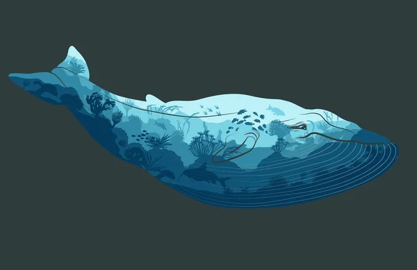 Dubbele blootstelling, walvis en onderwater wereld van de Oceaan — Stockvector