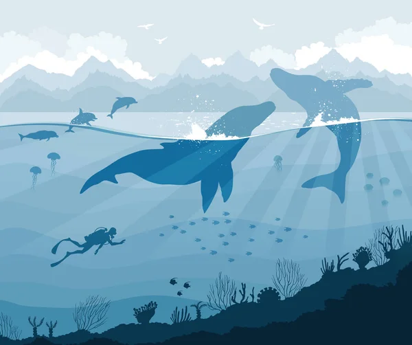 Potápěč a velryby, delfíny, medúzy, ryby — Stockový vektor