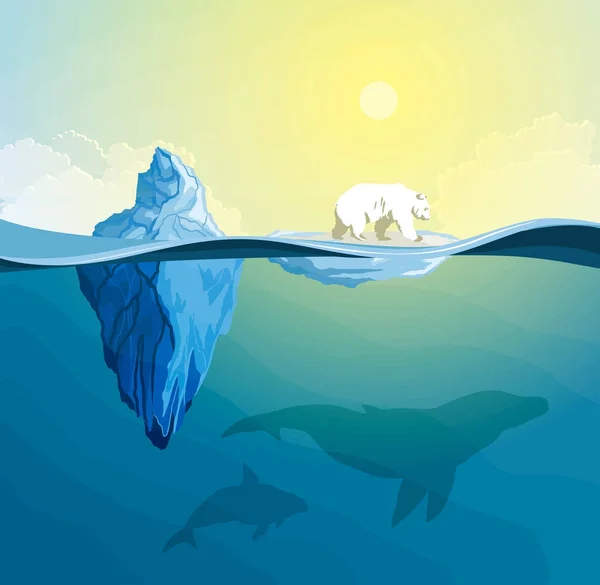 Πολική αρκούδα στο πολικό πόλο, υπερθέρμανση του πλανήτη έννοια — Διανυσματικό Αρχείο