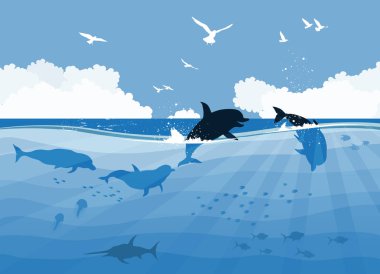 Yunuslar bir deniz arka plan üzerinde yüzen