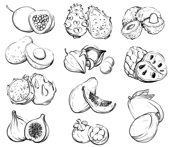 手拉水果, 健康食品 — 图库矢量图片
