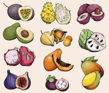 Elle çizilmiş egzotik yaz meyve, sağlıklı gıda