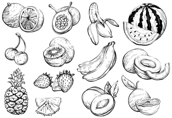 Dibujado a mano Saludable fruta exótica de verano, boceto — Vector de stock