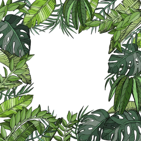 Tropische Palmenblätter im Hintergrund, Dschungelpflanzen — Stockvektor