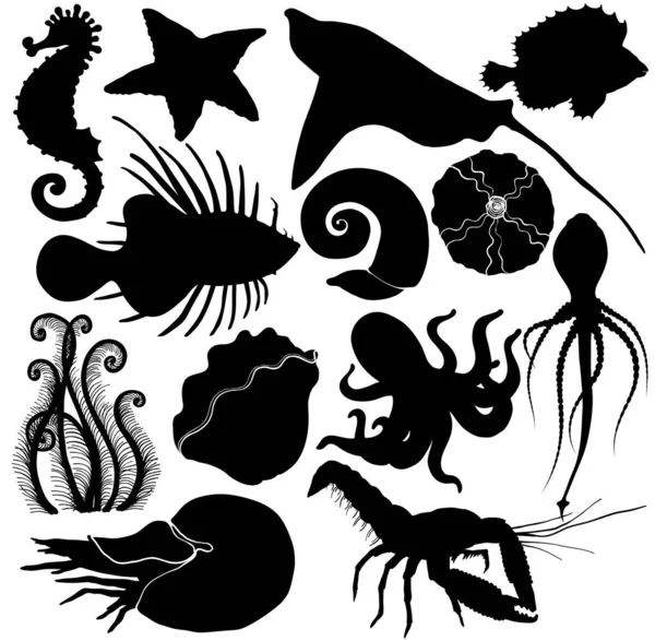 Silhouette Set with marine life organisms. — Stock Vector