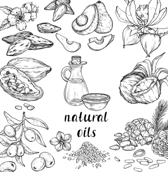 Vector set of cosmetic care ingredients. Organic hand drawn oils. — Stock Vector