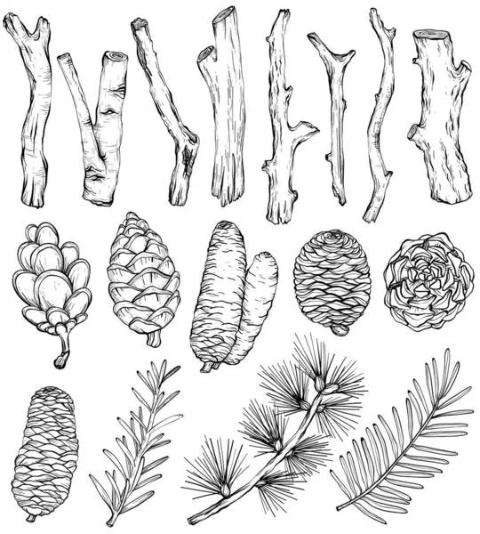 Set natural rústico dibujado a mano de ramas y conos forestales, elementos vectoriales. Blanco y negro — Vector de stock