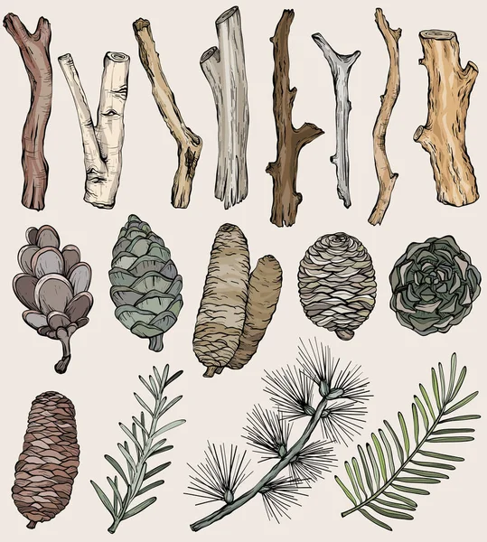 Rústico dibujado a mano Conjunto natural de ramas y conos forestales, elementos vectoriales — Vector de stock