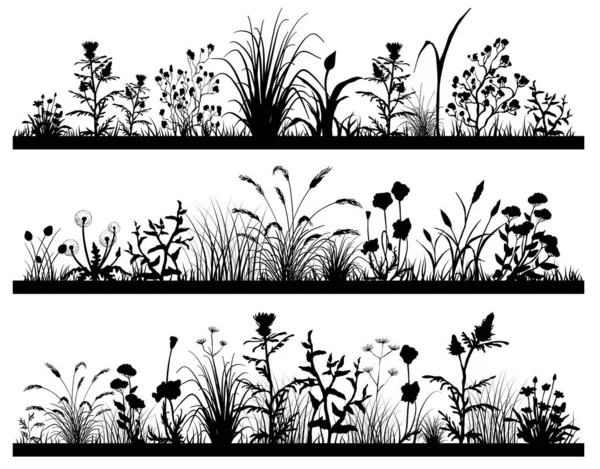 Tarla çiçekleri ve çimenlerin silueti.