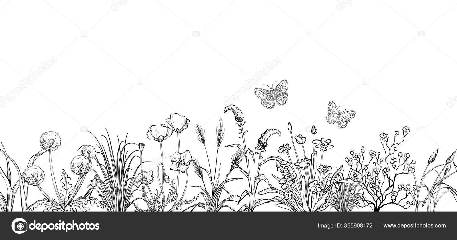 Black And White Sketch Field Flowers And Grass Landscape Stock Vector Image By C Mirifada 355908172