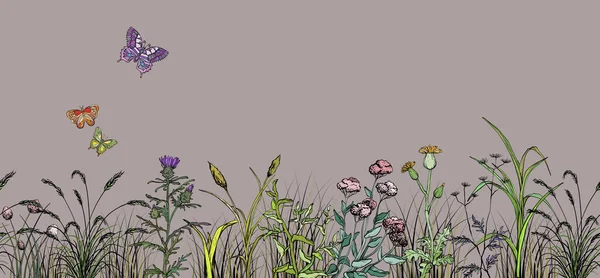 Borboletas de campo sobre flores e paisagem de grama — Vetor de Stock