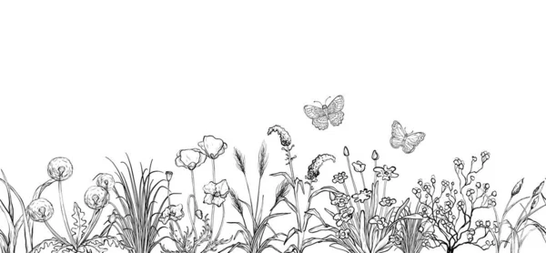 Esboço preto e branco, flores de campo e paisagem de grama —  Vetores de Stock
