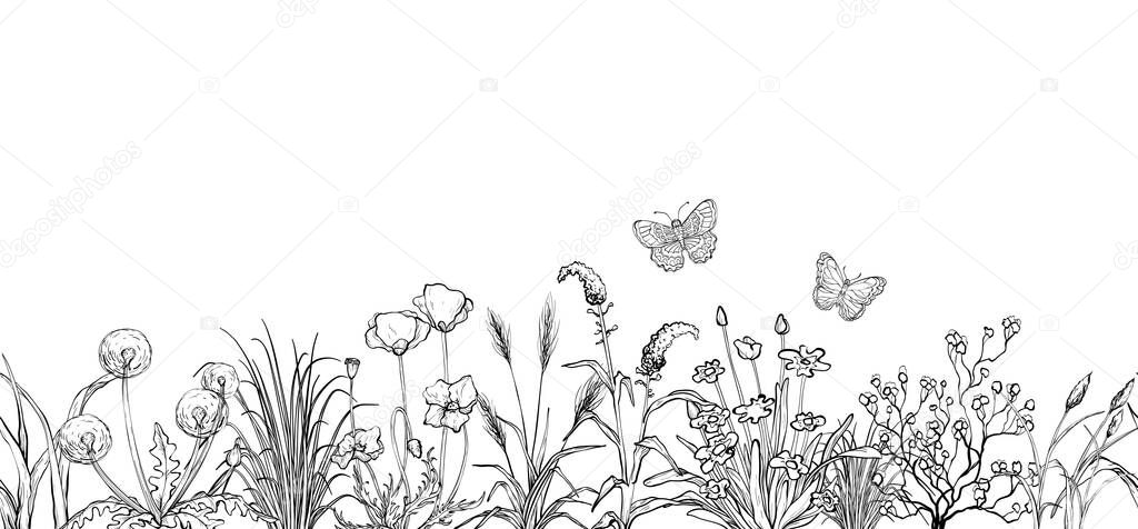 Black and white sketch, Field flowers and grass landscape
