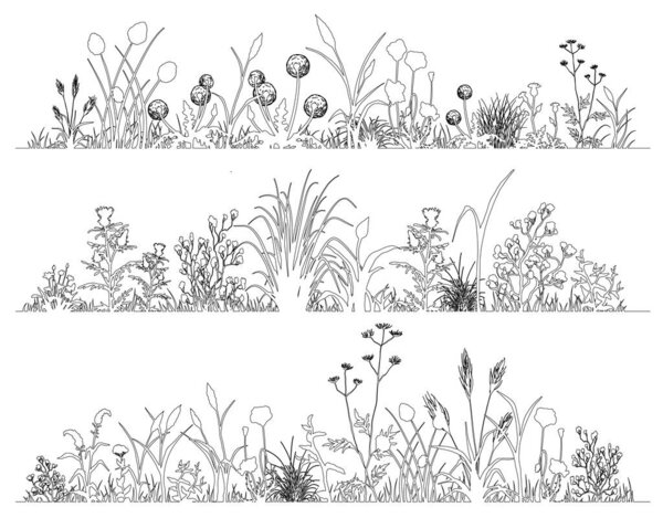 Field flowers and herbs landscape set, line art