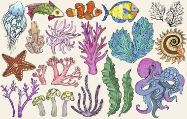 Derin sularda yaşayan organizmaların, balıkların ve alglerin çizimi