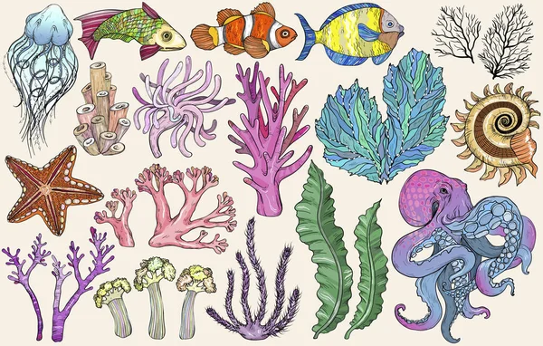 Esboço de organismos vivos de águas profundas, peixes e algas —  Vetores de Stock