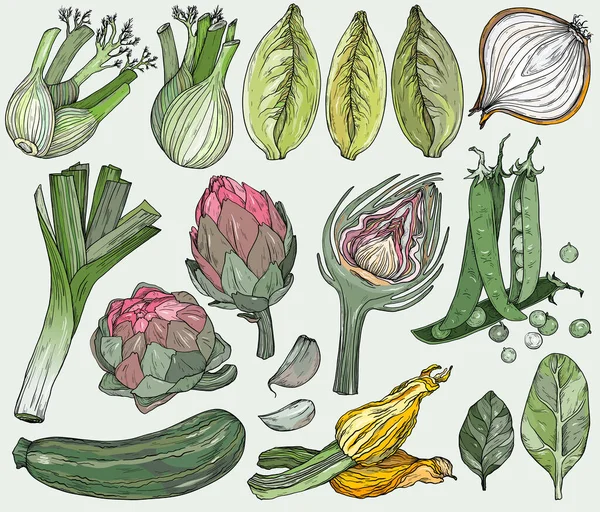 Conjunto de verduras mediterráneas naturales. Comida orgánica fresca. Verduras vintage Dibujo dibujado a mano . — Vector de stock
