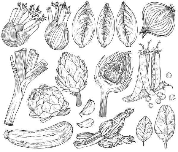 Doğal Akdeniz sebzeleri. Taze organik gıda. Sebze, el yapımı bir eskiz. Siyah ve beyaz