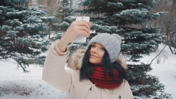 Νέοι χαριτωμένο κορίτσι στο πάρκο χειμώνα κάνει selfie με το smartphone — Αρχείο Βίντεο