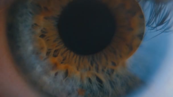 人間の目のアイリスは契約。極端にクローズ アップ. — ストック動画