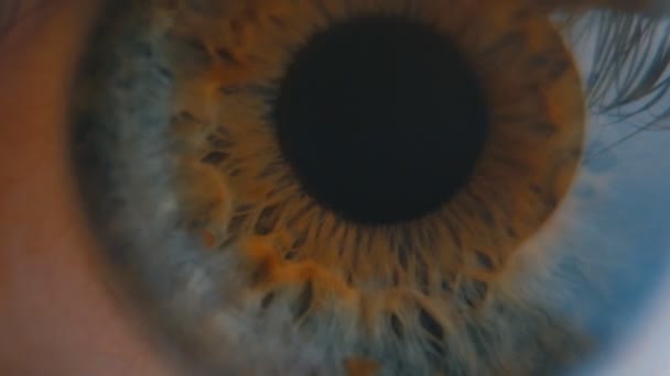 人間の目のアイリスは契約。極端にクローズ アップ. — ストック動画