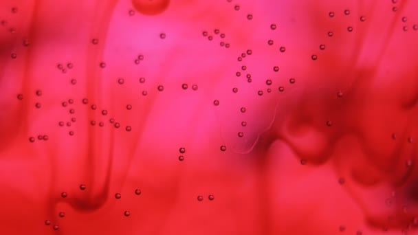 Blutwolke. Farbstrahl aus Tintenpigmenten schafft organische Skulpturen unter Wasser. Blut. — Stockvideo