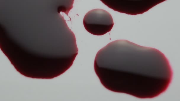 Blood drop falls on the floor. macro shot. — Stock Video