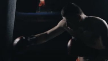 Erkek Boxer boks kulübünde eğitim