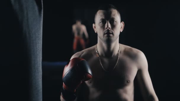 Portret sportowca w boks rękawice bokserskie club — Wideo stockowe