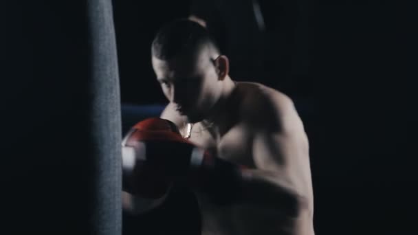 Erkek Boxer boks kulübünde eğitim — Stok video