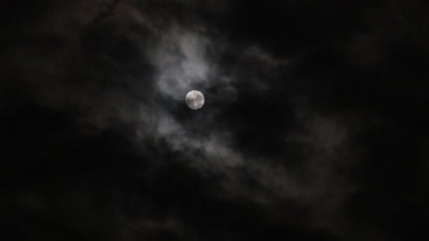 Full moon at night with cloud, timelapse — Stock Video