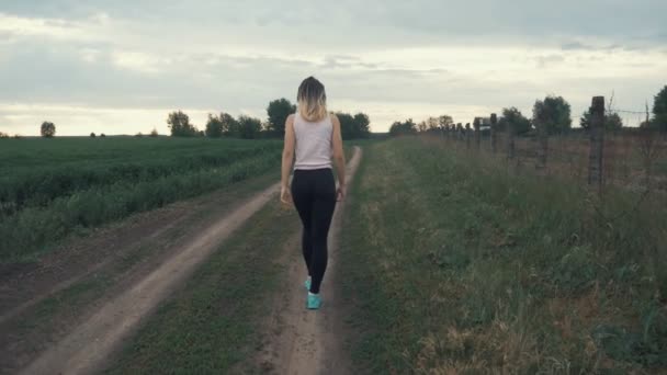 セクシーな女の子は、日没で春の野を歩いています。自由とライフ スタイルのコンセプトです。ステディカムで撮影します。 — ストック動画