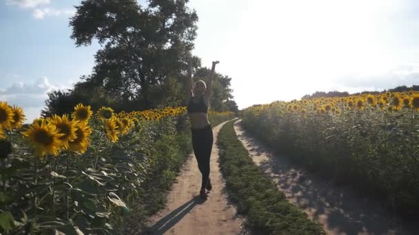 Nettes Mädchen, das mit Sonnenblumen auf dem Feld spaziert. Fitness im Freien. Schuss mit Schwebestativ — Stockvideo